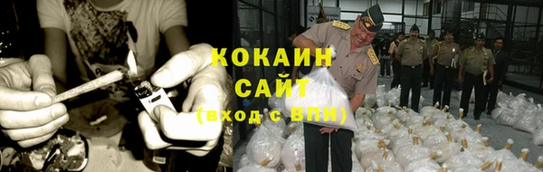 стафф Кинешма