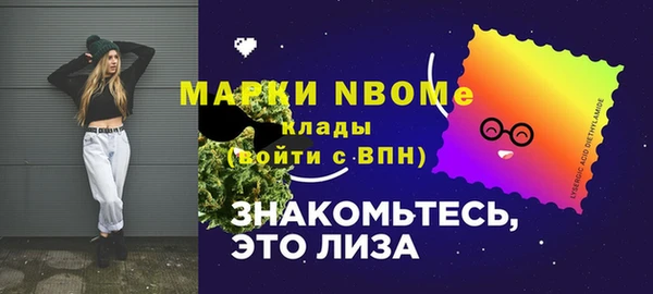 шишки Киреевск