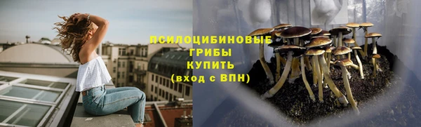 не бодяженный Касимов